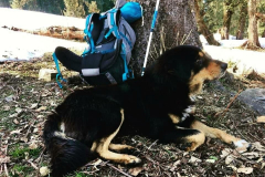 KKHikingPartner