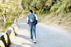 LandourWalk